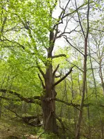 2013-05-10 15.38.47.webp