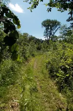 DSCN0253.webp