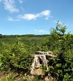 DSCN0256.webp