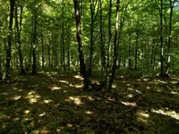 DSCN0259.webp