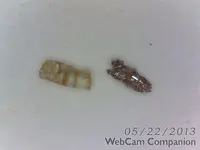 ArcSoft_Image17.webp