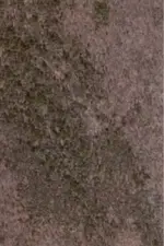 image-1355728702.webp