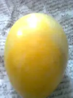 Image0373.webp