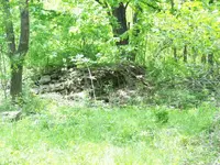 100_2626.webp