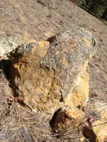 image-894212599.webp