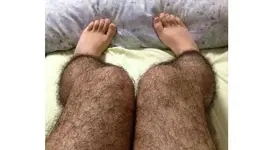 Hairy-leg-stockings.webp