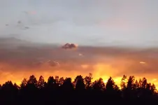 DSCF3891.webp