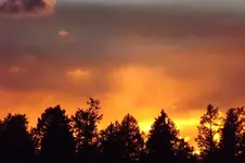 DSCF3892.webp