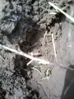 130517_0000.webp