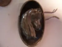 100_6569.webp