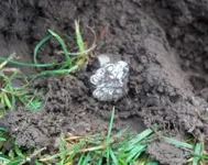 100_0547.webp