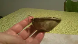 Tin CupIII.webp