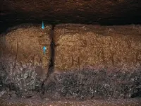 RabbitOrFishHeadsInCave.webp RabbitOrFishHeadsInCave.webp