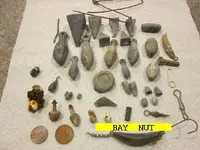 0516NUT.webp