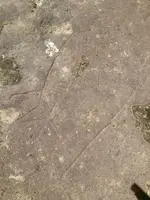 image-3160262673.webp