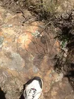 image-4278342682.webp