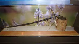 Digging Stick Oregon Trail Museum.webp