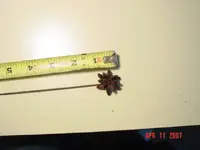 Finds 4-10-07 011.webp