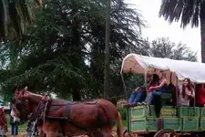 HPIM0901.webp