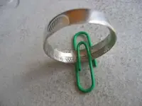 my_first_ring_7-1(3).webp
