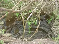 DSC03609.webp
