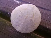coins 039.webp