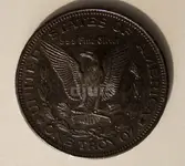 Silver-Back.webp
