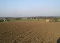Feild.webp