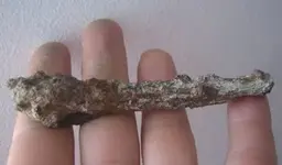 Iron Nail.webp