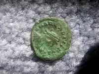 DSCN1329.webp