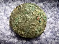 DSCN1331.webp