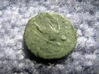 DSCN1335.webp