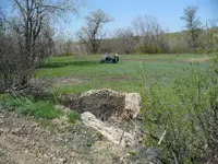 bsa 001.webp