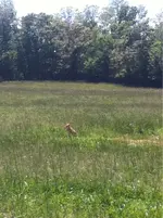 image-2666176991.webp