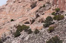 Trip050513 083.webp