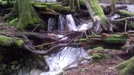 IMAG1364.webp