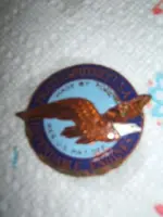 6-20-13 finds 007.webp