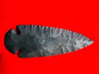 new1 569.webp