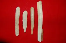 Mandan Artifacts (31).webp