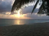 cayman.webp