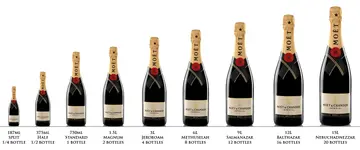 size-chart.webp