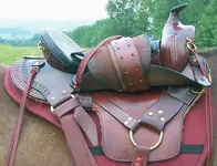 saddle1.webp