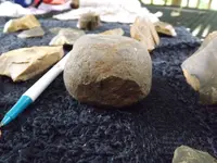 DSCF8102.webp