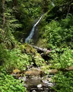 Gold Mtn 061213061213 179.webp Gold Mtn 061213061213 179.webp