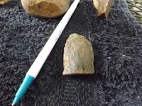 DSCF8103.webp