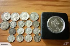 USA Coins.webp