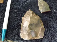 DSCF8104.webp