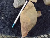 DSCF8105.webp
