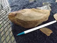DSCF8106.webp