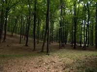 DSCN0288.webp